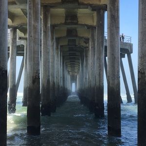 Meet your Posher, Donald